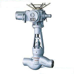 J961Y Power Station Globe Valve